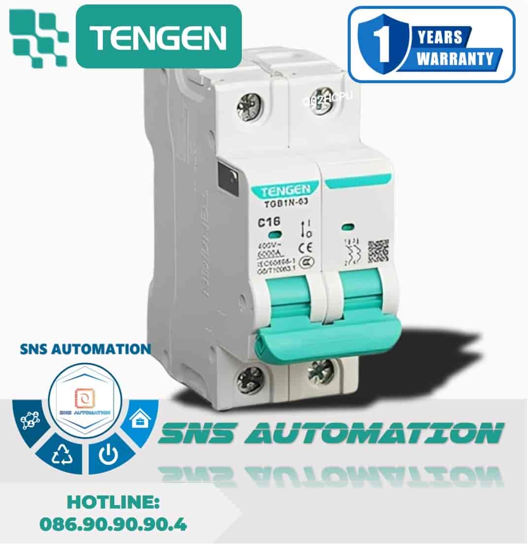 TGB1N-63 2P C20